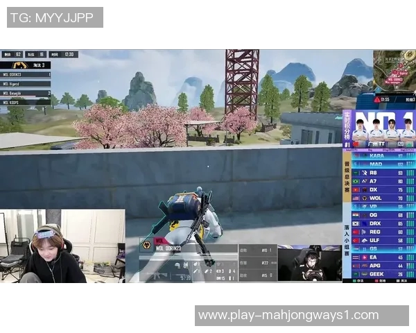 和平精英视角下JDG战队运营策略的成功与不足分析